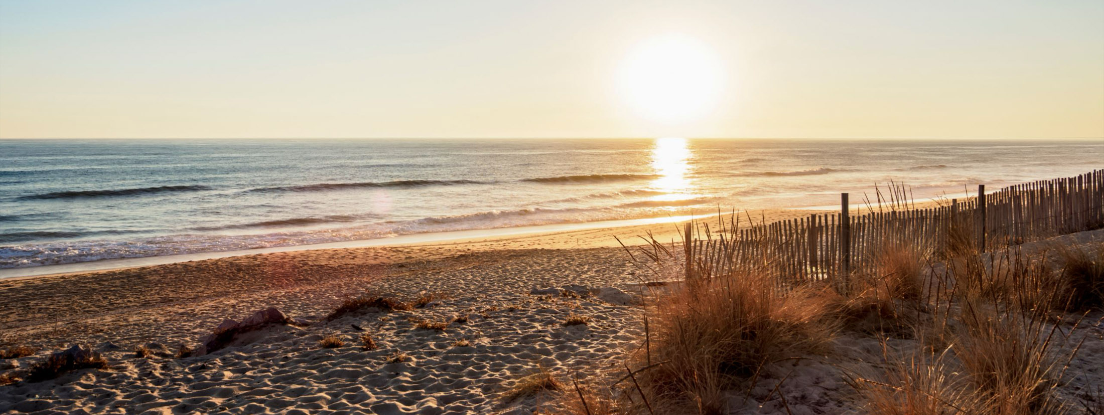 People dining outdoors by the water at sunset in Faro